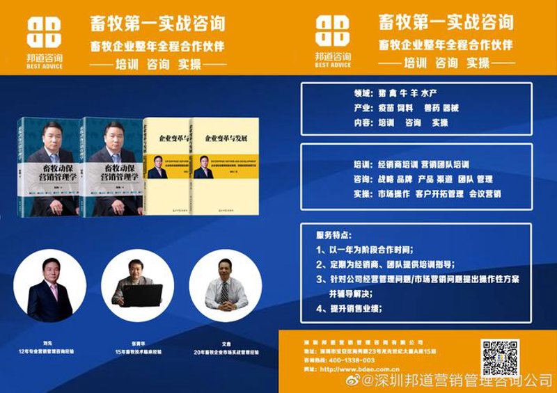 营销策划咨询